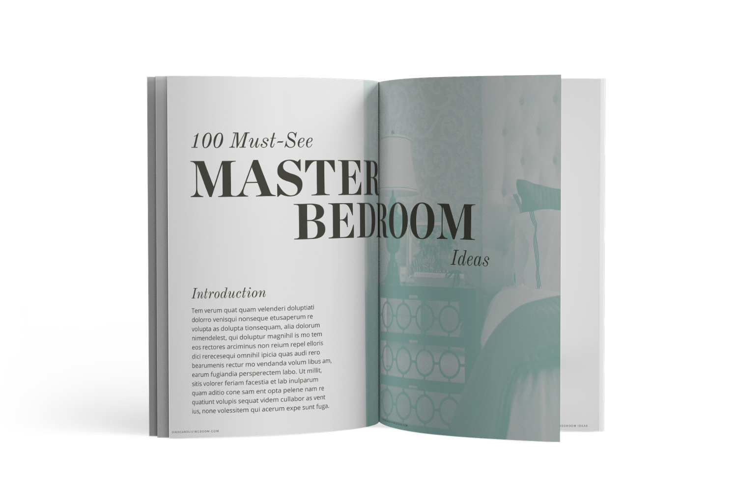 Ebook Master Bedroom Ideas