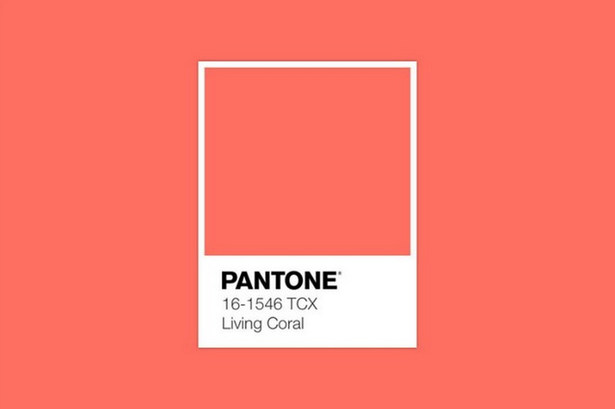 Pantone Anounces Living Coral as the 2019 Color of the Year Pantone Anounces Living Coral as the 2019 Color of the Year Pantone Anounces Living Coral as the 2019 Color of the Year Pantone Anounces Living Coral as the 2019 Color of the Year Pantone Anounces Living Coral as the 2019 Color of the Year